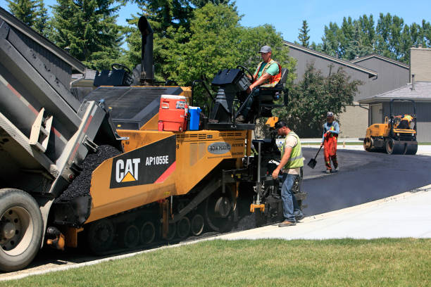 Best Professional Driveway Pavers  in Hybla Lley, VA